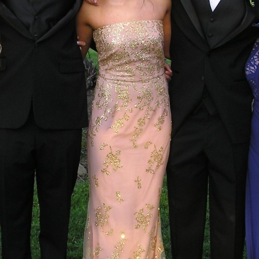 A. Drea pink and gold prom dress